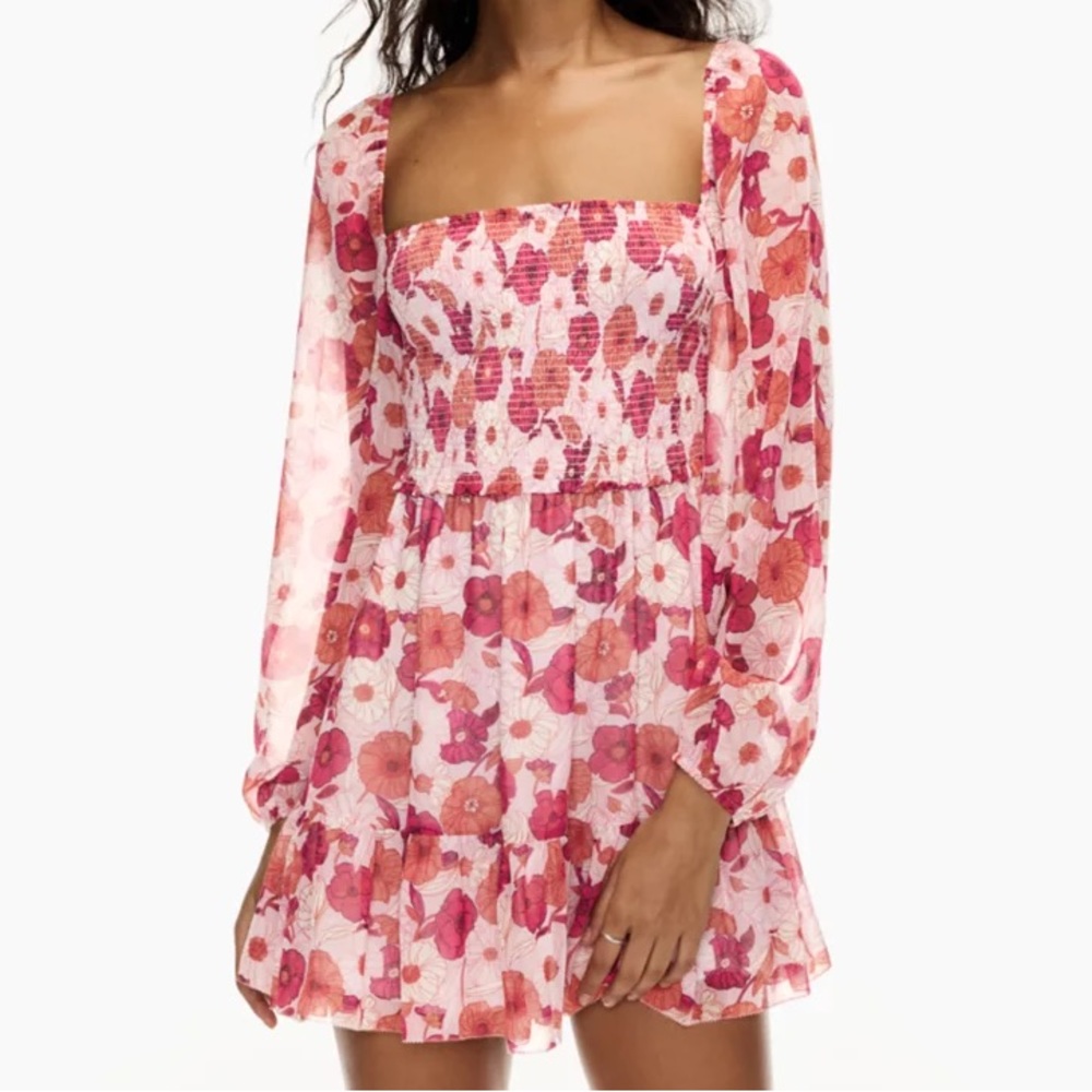Aritzia Wilfred Floral Tempest Mini Dress